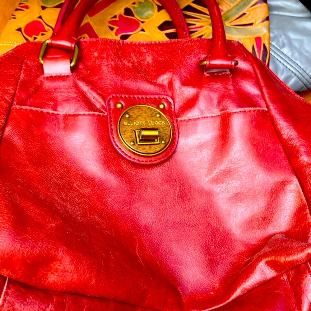 Elliot Lucca Red Leather Bag